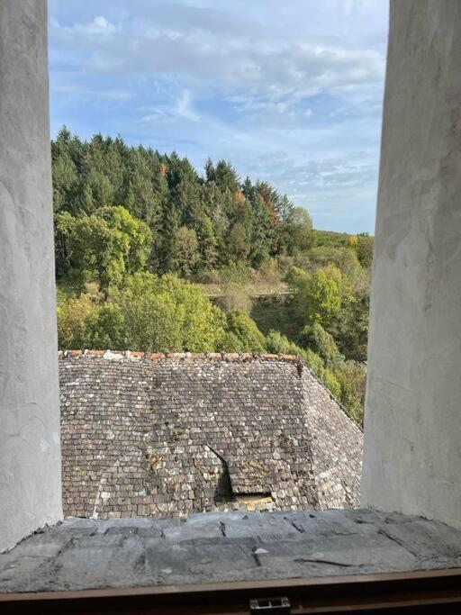 Maison De Village Avec Vue 4/5 Personnes Lou Rouchou Voutezac Bagian luar foto