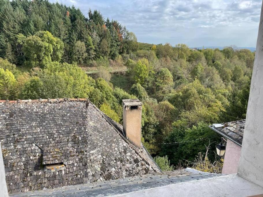 Maison De Village Avec Vue 4/5 Personnes Lou Rouchou Voutezac Bagian luar foto